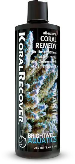 Brightwell Aquatics Koral Recover – Botanical Coral Remedy – 125 ml