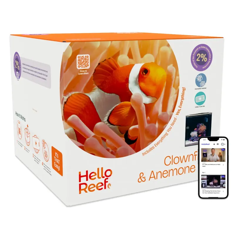 HELLOREEF Clownfish & Anemone Aquarium Kit - Bulk Reef Supply