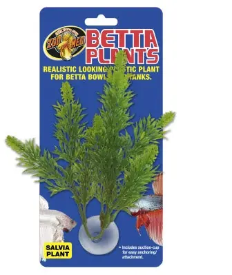 ZooMed Betta Plant - Salvia