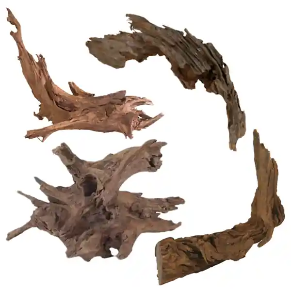 Malaysian Driftwood - Squeaky's Aquatics