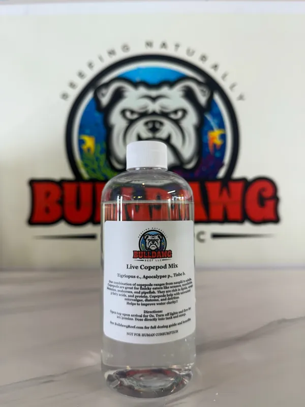 Bulldawg Copepod Mix | Live Marine Pods for Mandarins & Reefs