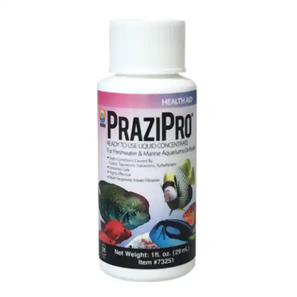 Hikari PraziPro | Liquid Praziquantel for Freshwater & Saltwater Parasites