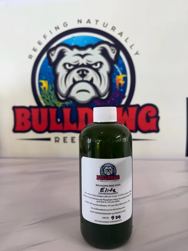 Bulldawg Reef Juice Elite | 8-Species Live Phytoplankton for Reef Tanks
