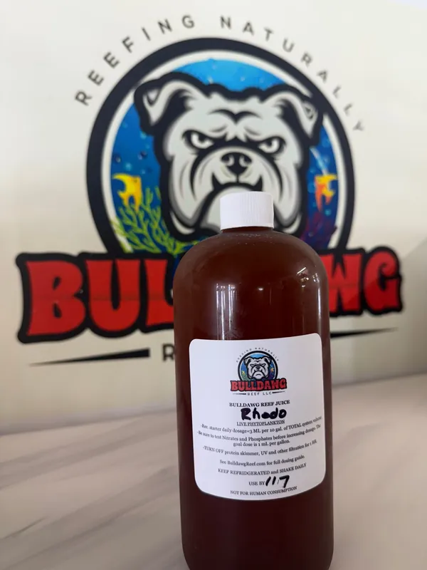 Bulldawg Reef Juice Rhodomonas salina | Live Red Phytoplankton for Reefs