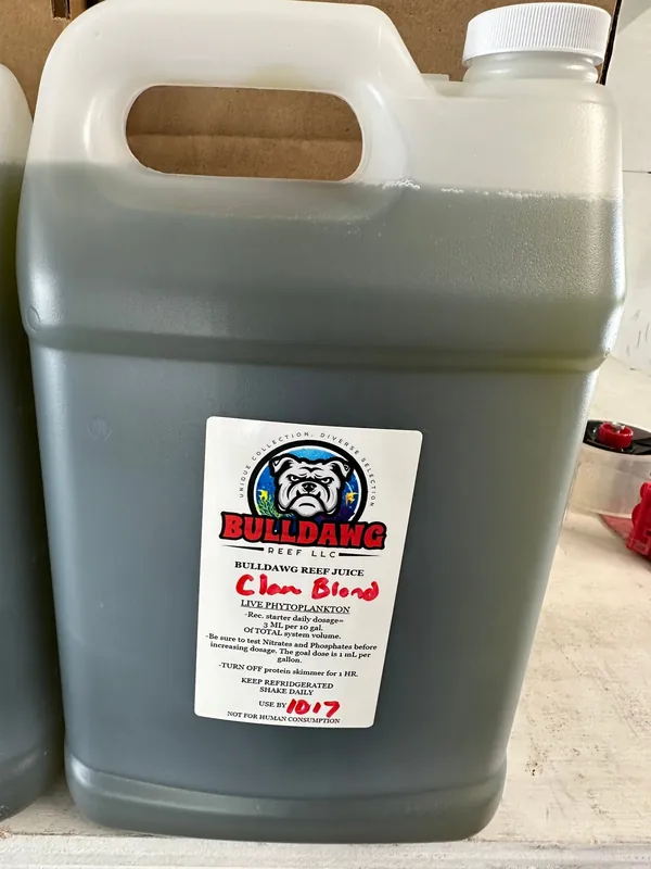 Bulldawg Reef Juice Clam Blend | Live Phytoplankton for Clams & Filter Feeders