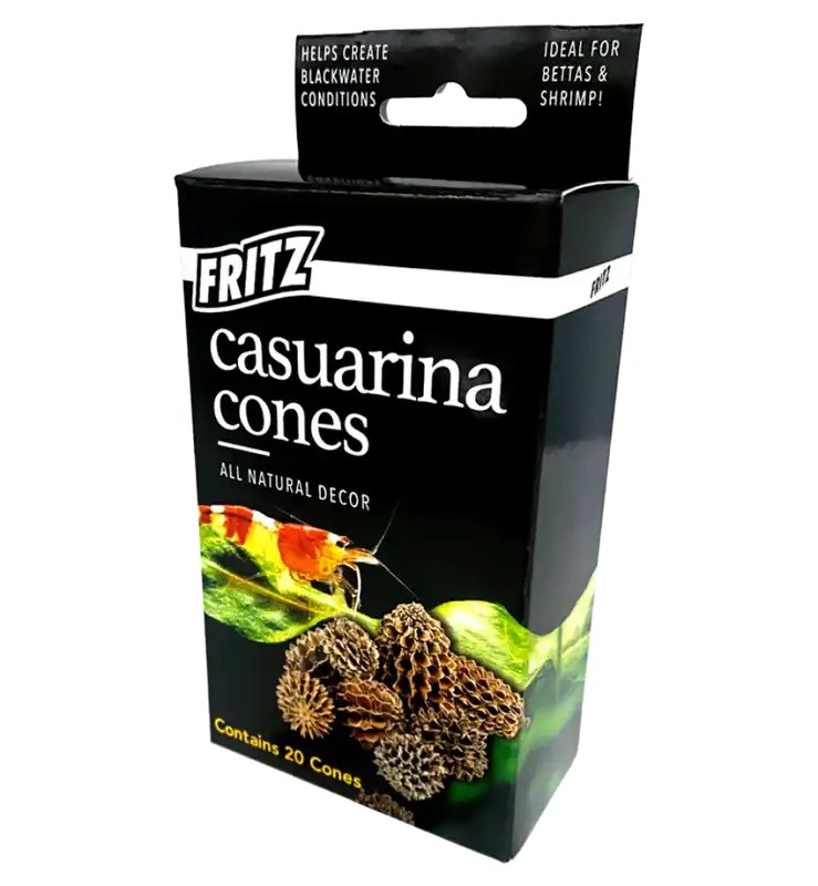 Fritz Casuarina Cones