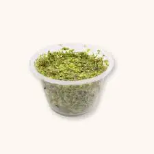 Duckweed (Lemna minor) - Portion Cup