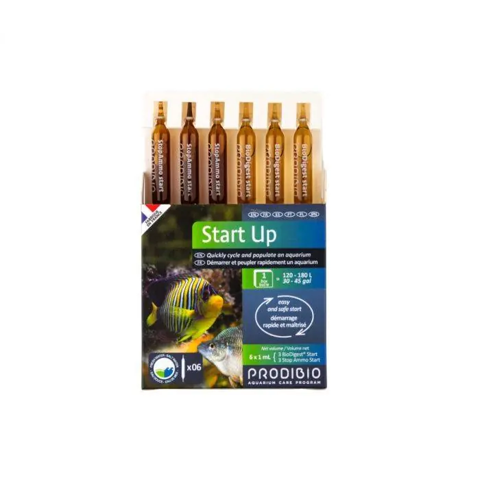 Prodibio Start Up - Red Sea