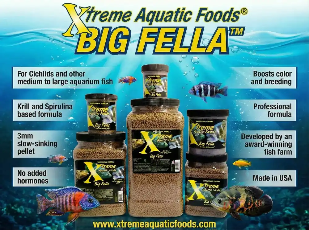 Xtreme Big Fella 3mm Slow-Sinking Pellet
