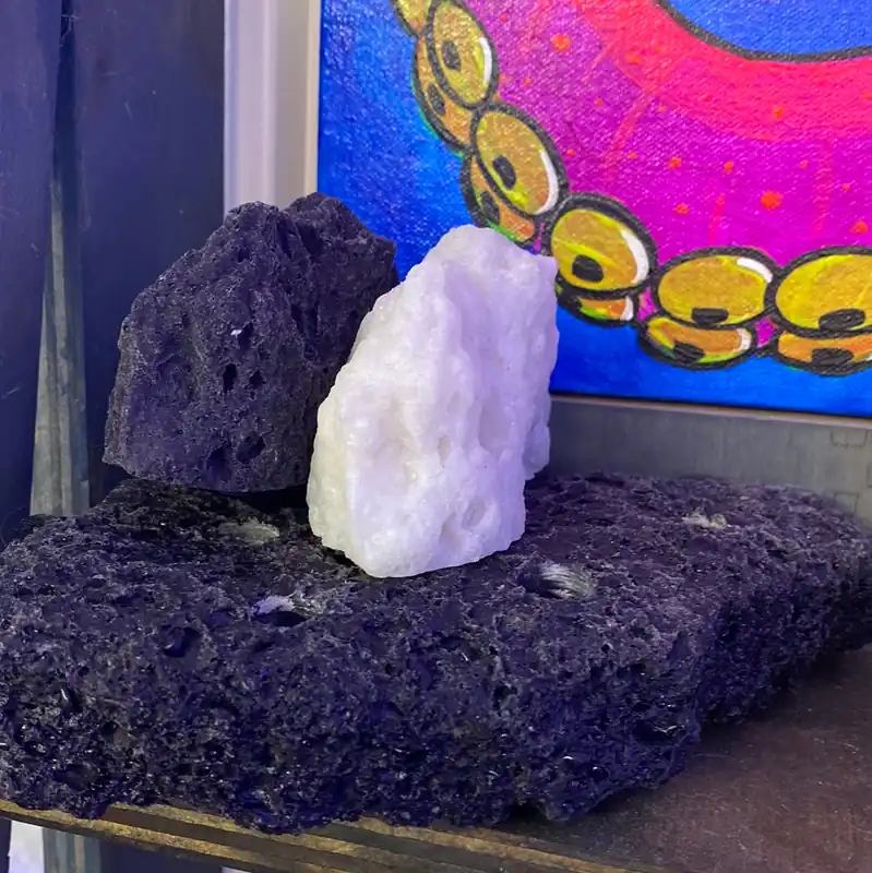 FRH Magnetic Frag Rocks - Coral's Coral
