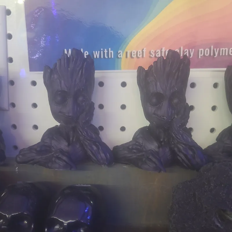FRH Groot Frag Rocks - Coral's Coral