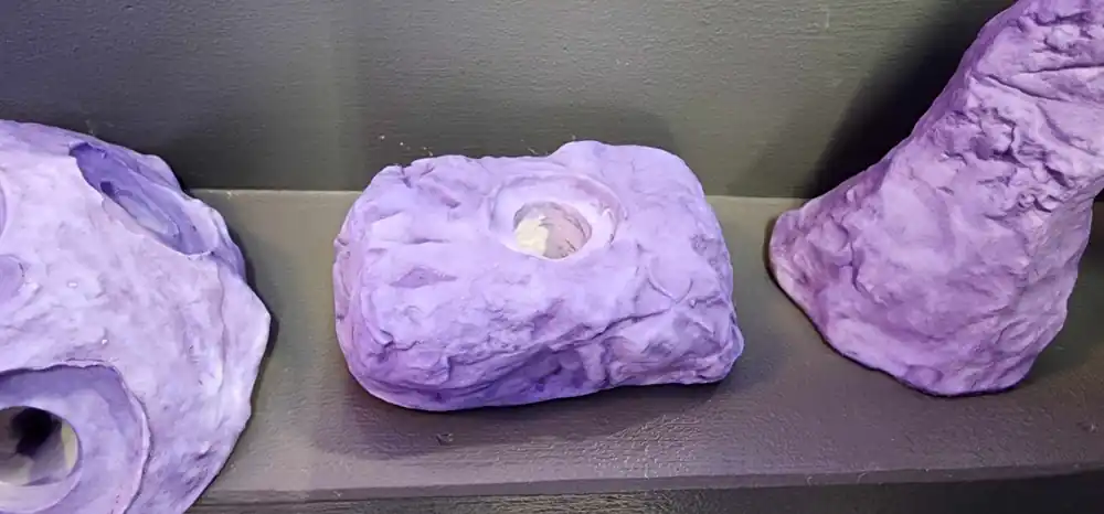Frag rock 6 - Coral's Coral Auction