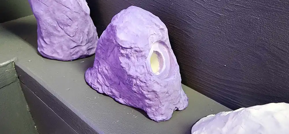 Frag rock 8 - Coral's Coral Auction