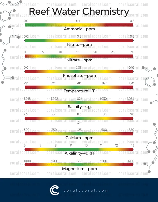 Professor Polyp's Reef Water Chemistry Chart, Laminated Print - Coral's Coral