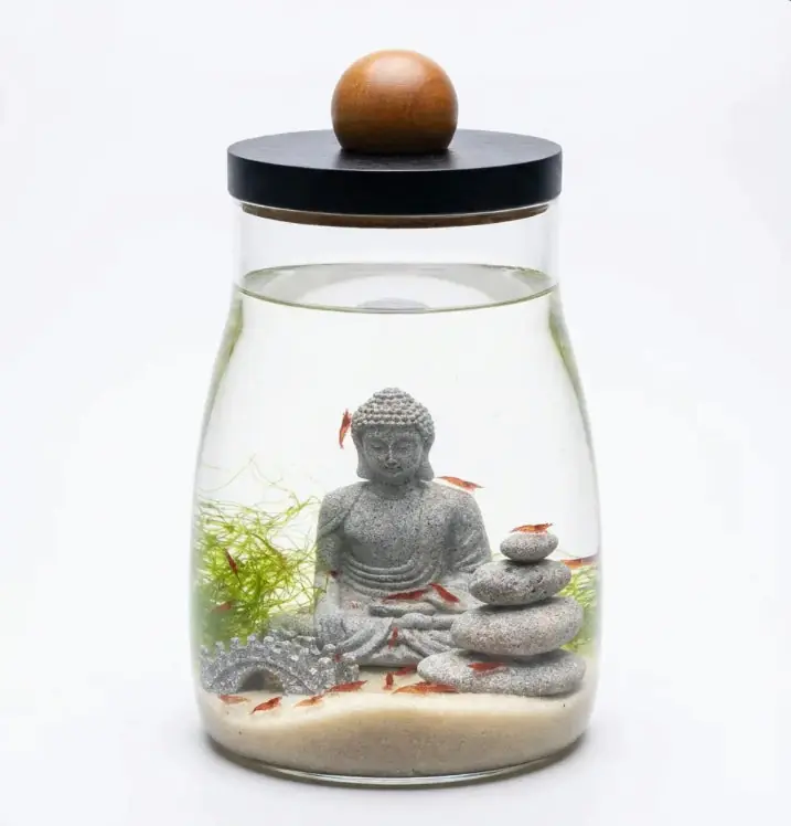 Zen Shrimp Ecosystem with LED Light (30 Opae ʻUla) - Shrimp Ecosphere