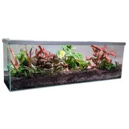 Lifegard Low Iron Glass 11 Gallon Long Terrarium - New