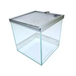Lifegard Low Iron Glass 3 Gallon Rimless Cube Terrarium - New