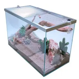 Lifegard Low Iron Glass 15 Gallon Rimless Long Terrarium - New