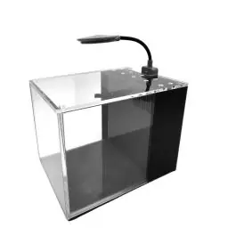 PNW Customs Small-In-One 1 Gallon Desktop Aquarium