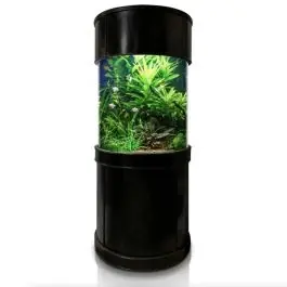 Aqua Vim Glass Full Cylinder Aquarium - New