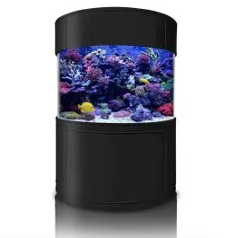 Aqua Vim Glass Half Cylinder 1/2 Cylinder Aquariums - New