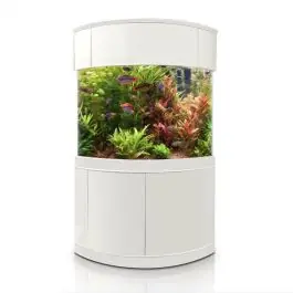 Aqua Vim Glass Corner - New
