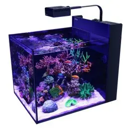Red Sea Max Nano Peninsula G2 - 26 Gallon Aquarium