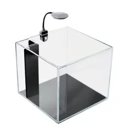 PNW Customs Mini Pond 4 Gallon Desktop Aquarium - New