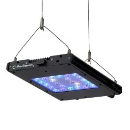 Reef Breeders Meridian 11 - New