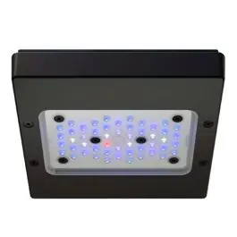 Ecotech Marine Radion XR15w Blue Gen 6 LED - New