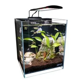 Lifegard 2.65 Gallons Betta 45° Degree Low Iron Ultra Clear Aquarium - New