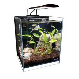 Lifegard 5 Gallon Elevated 45° Degree Low Iron Ultra Clear Aquarium - New