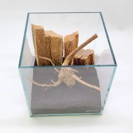 Lifegard 1 Gallon Ultra-Low Iron Nano Rimless Cube Tank