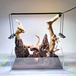 Lifegard Rimless Terrarium / Paludarium Complete KIT - New