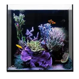 IceCap 10 Gallon Cube AIO Rimless Glass Aquarium - New