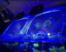 Top Lids CADE Reef 900 S2 Custom Polycarbonate Aquarium Lid - New