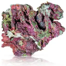 Biotek Marine Aussie Live Rock By the Pound - 10 LB Minimum Order