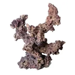 CaribSea LifeRock Reef Tree with Arches - New