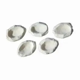 The Alternative Reef Clam Holder - New