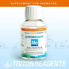 Triton Labs Base Molybdenum 100ml - New