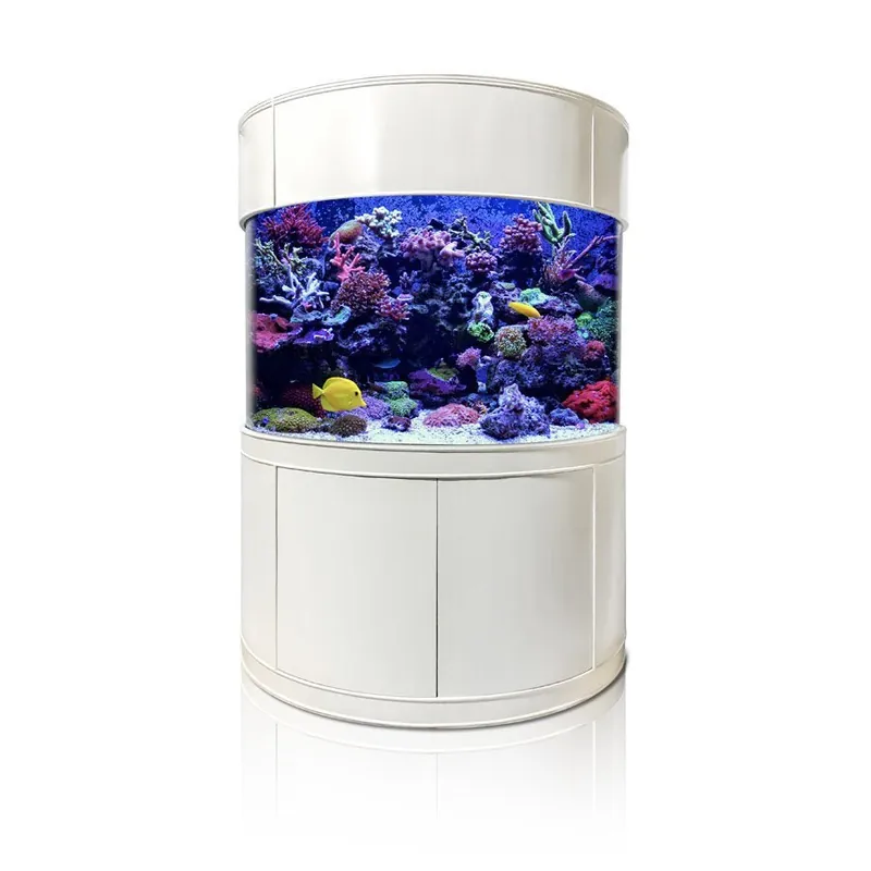 Glass Half Cylinder - AQUA VIM TANKS