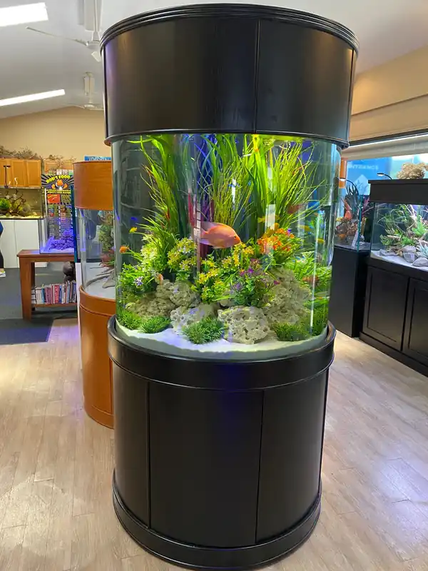 125 Gallon Full Glass Cylinder Set in Abyss Black - AQUA VIM